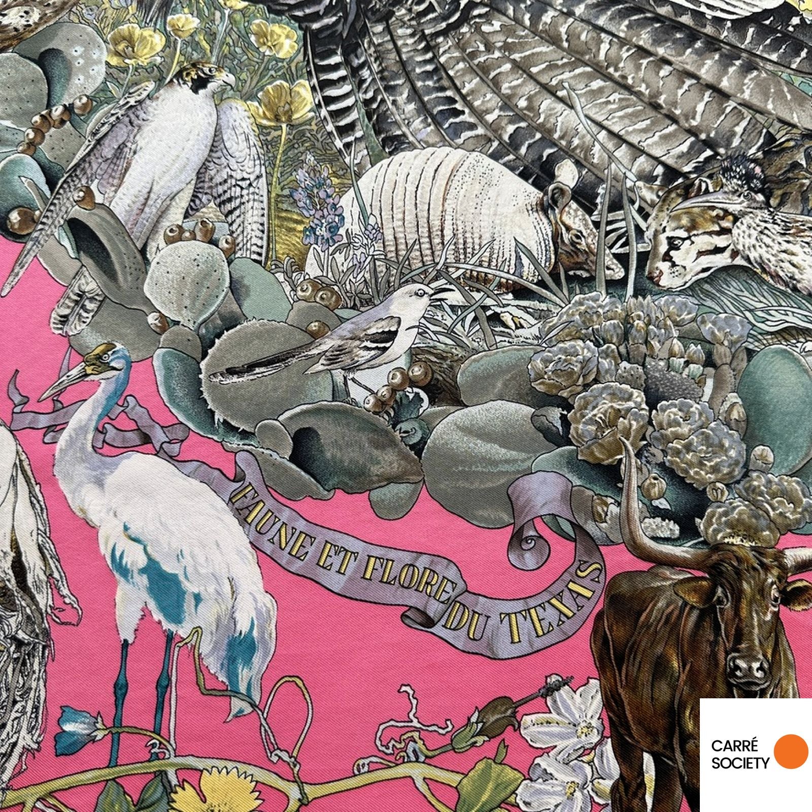 Motifs animaux du foulard Hermès Faune et Flore du Texas – zoom sur les oiseaux, mammifères et feuillages.