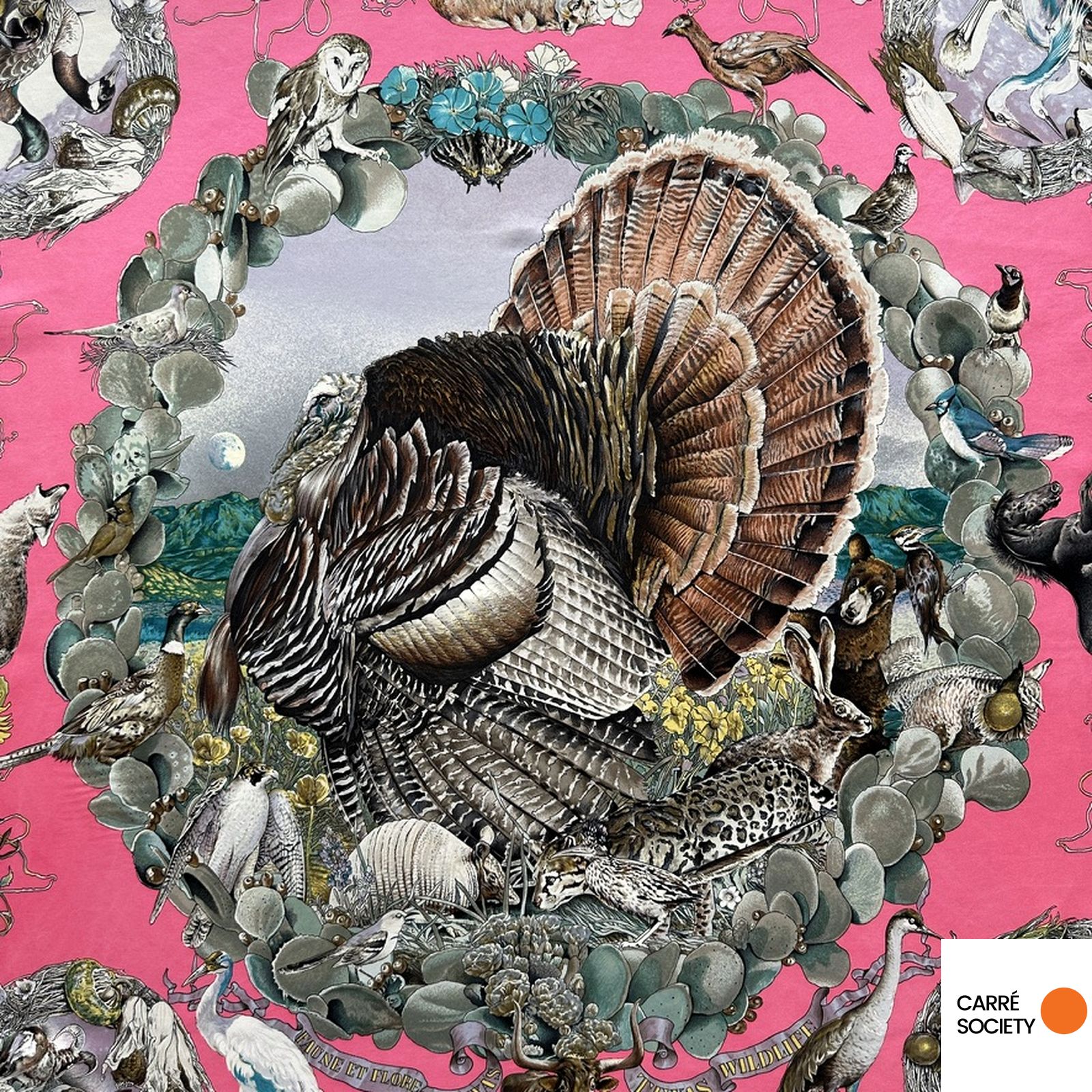 Détail du foulard Hermès Faune et Flore du Texas – zoom sur la dinde sauvage et la guirlande de végétation.