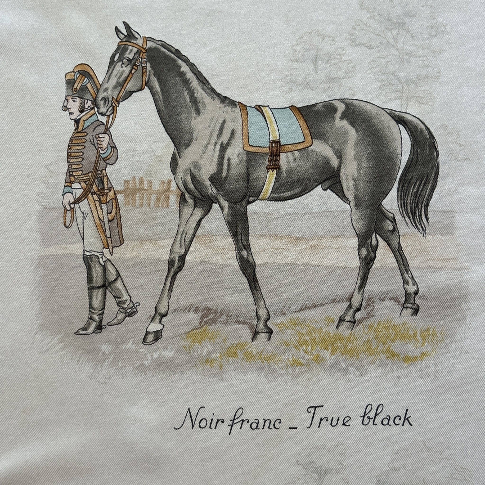 zoom sur un dessin de robe de cheval noir franc