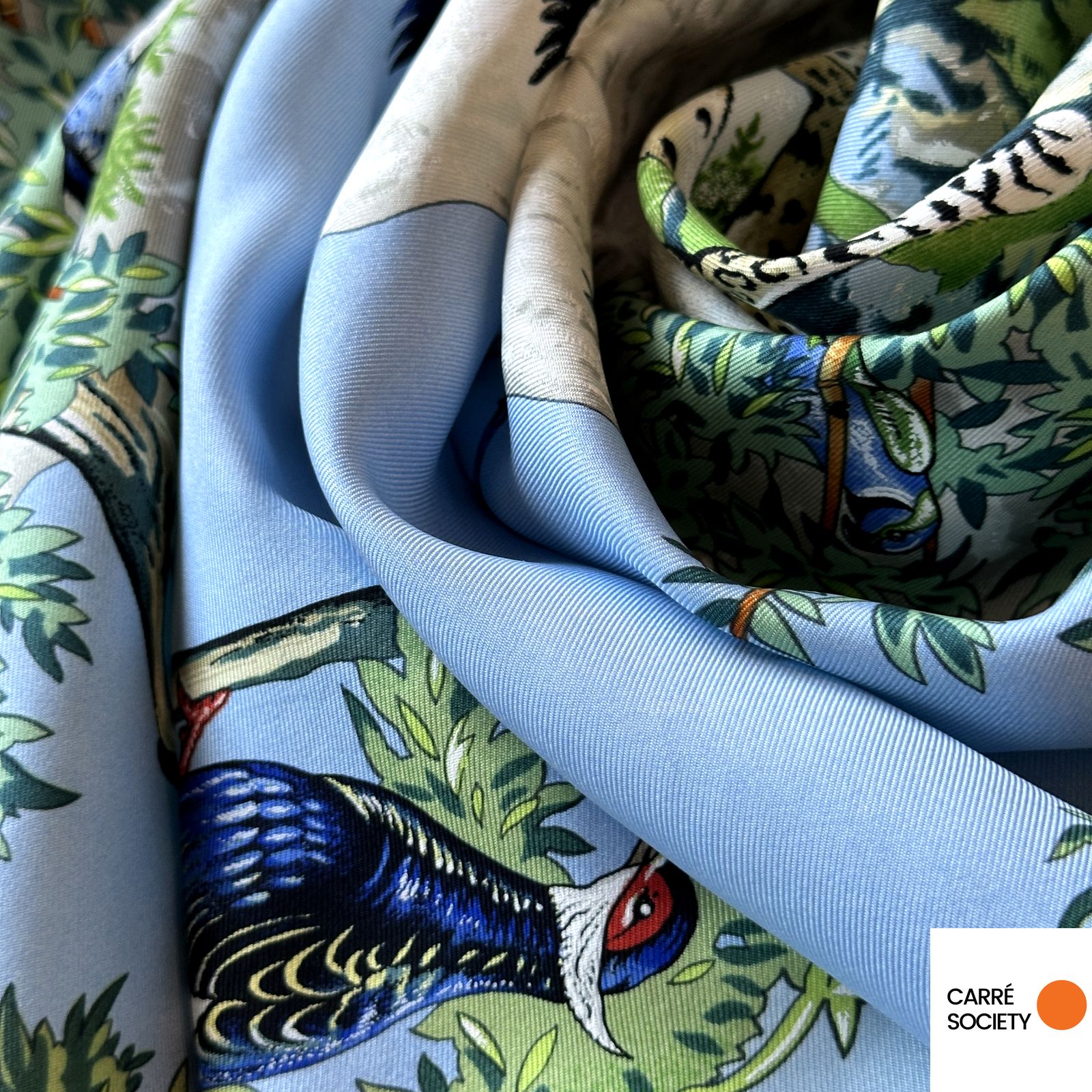 Hermès Sichuan scarf – Robert Dallet – With box